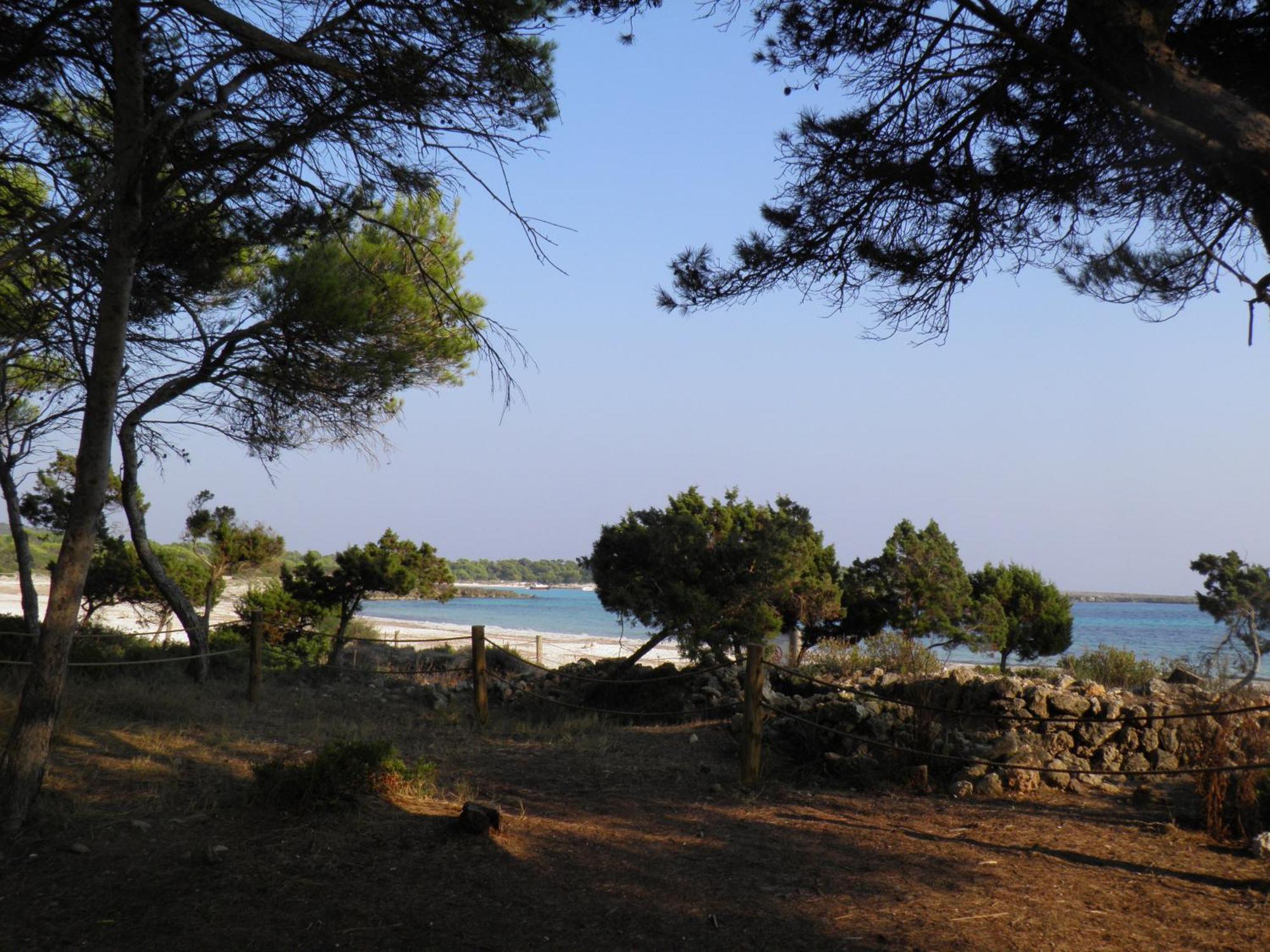 Nure Cel Blau Διαμέρισμα Cala en Bosch Εξωτερικό φωτογραφία